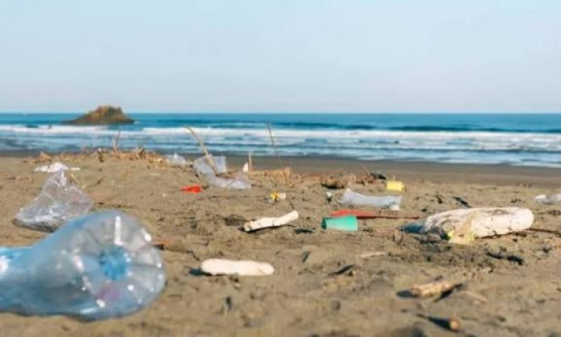 Cox's Bazar Sea Beach Choked by Plastic