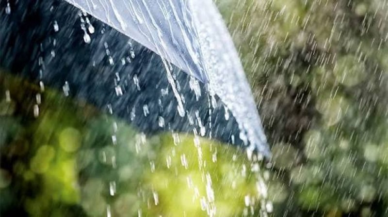 Light to moderate rain likely in parts of country