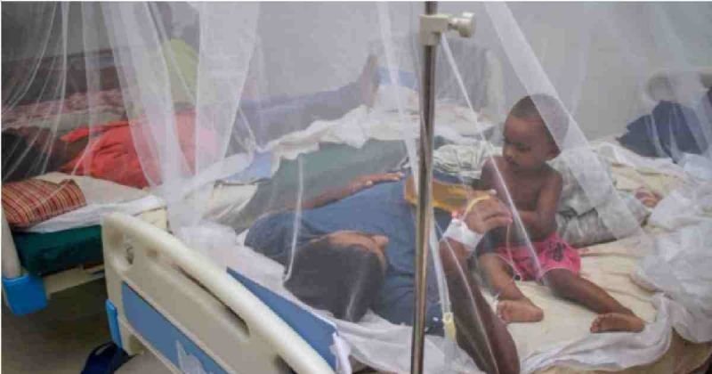Dhaka South now worst dengue-hit municipality with 39 deaths