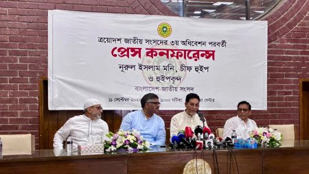 Govt reviews 101 agreements signed with India: Chief Whip