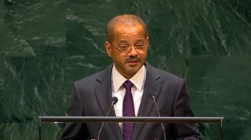 Omani FM urges restraint and political solutions to protect Hormuz navigation