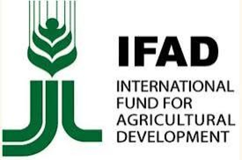 Bangladesh, IFAD deepen ties with $324m climate-resilient investment