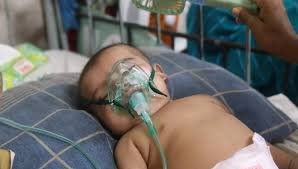 Measles Death Toll Reaches 1,155 as Eight More Die