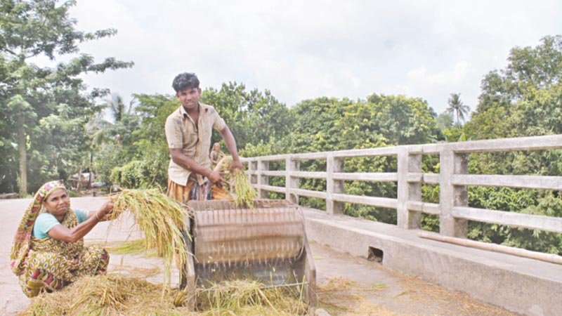 Boro yield brings smile to  farmers
