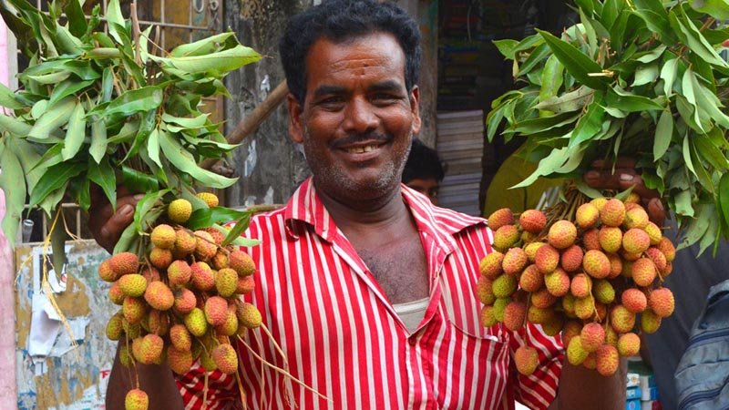 Rajshahi litchis reach markets