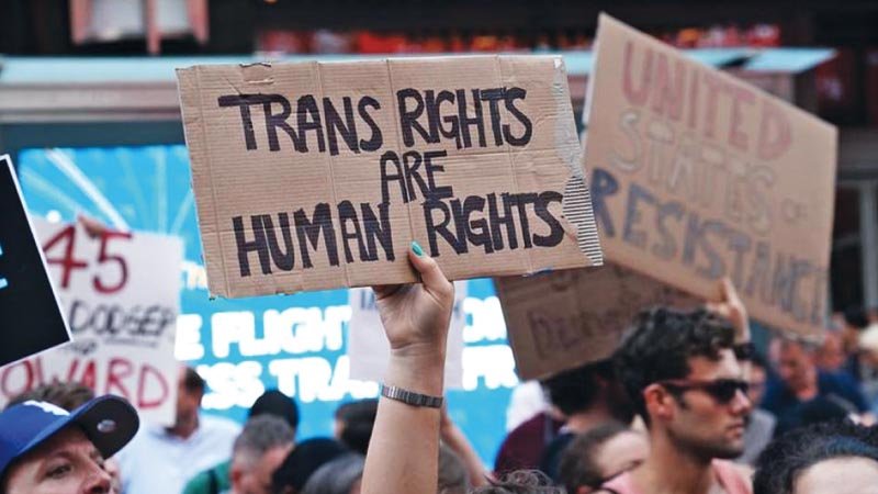 Mainstreaming of transgenders