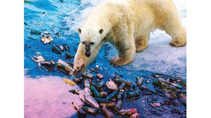 Safeguarding oceans from climate change a global responsibility