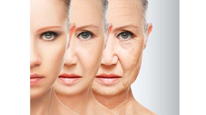 Scientists discover anti-aging potential in old drug