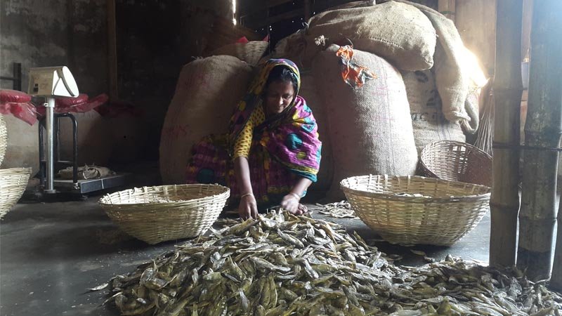 Demand for Kishoreganj’s  chepa shutki increases