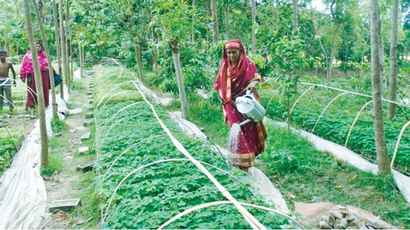 The Housewife turns example of self-reliance