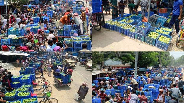 Naogaon now new hub for mango   