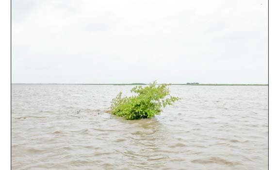 Padma’s water level rises alarmingly