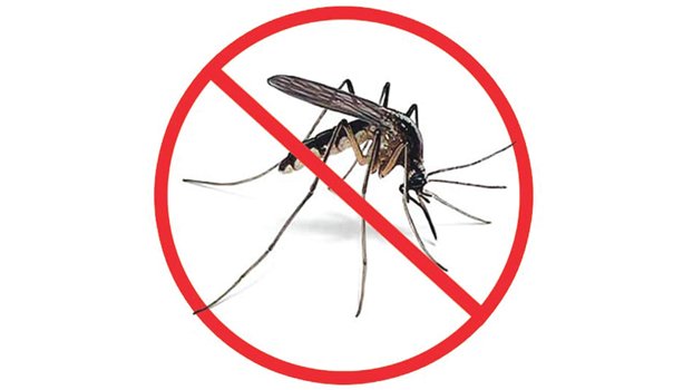 Multiple programmes  to fight dengue