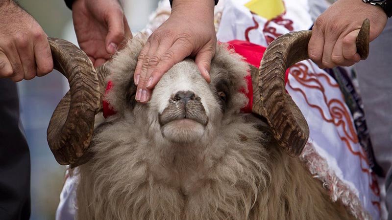 In the spirit of sacrifice