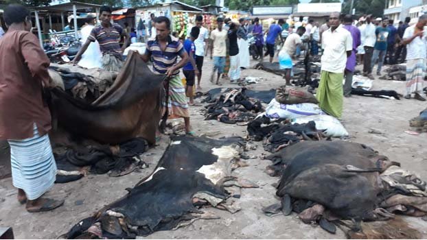 Rawhide business faces acute loss in Ishwardi