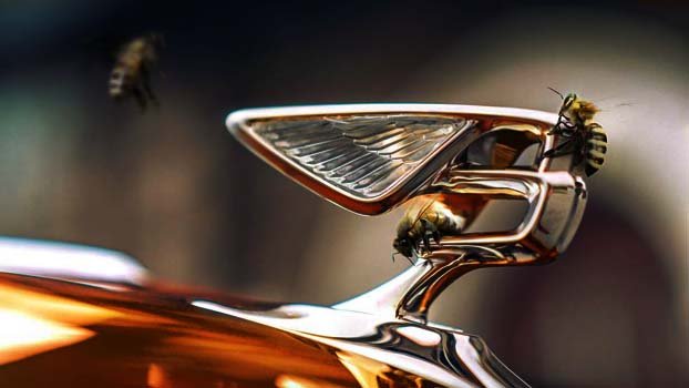 Bentley redefines its flying bee