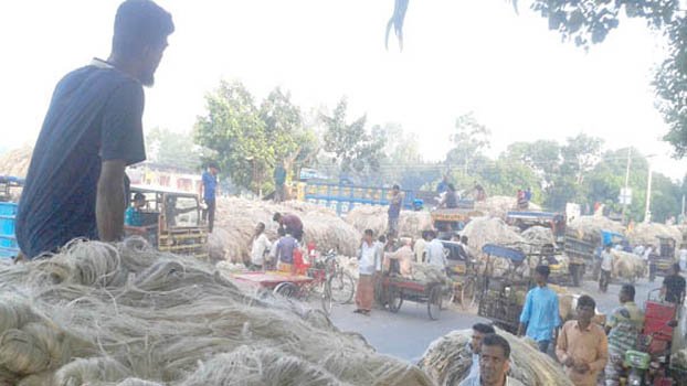 Farmers get good jute output, disappointing prices