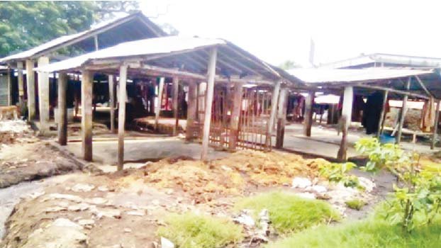 Garbage makes Rajshahi haats inaccessible