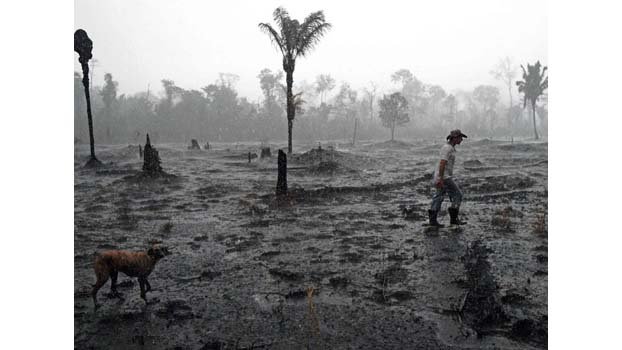 How Europe can save the Amazon 