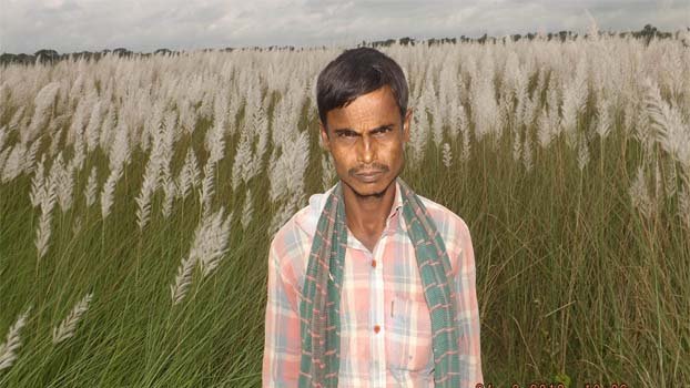 Kashphul ushers new hope for Kaliganj farmers