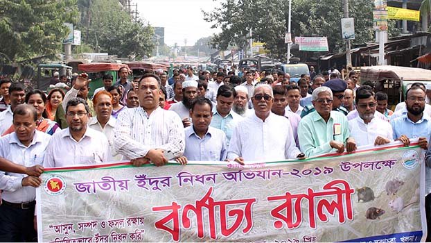 Rat spreads 60 types of diseases: KCC Mayor   