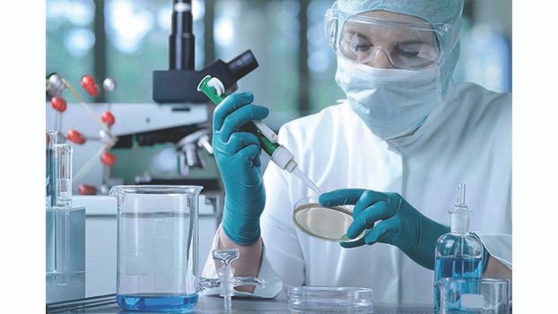 Studying Microbiology