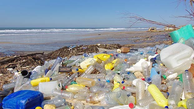 Sea change: Japanese leads  on marine plastic litter