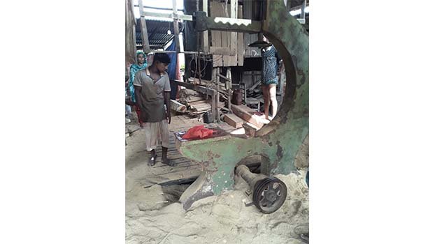 Mobile Court seals sawmills in Gazipur
