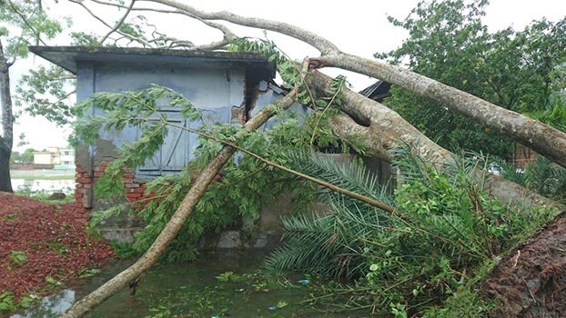  ‘Bulbul’ kills two, destroys 47,000 homesteads in Khulna