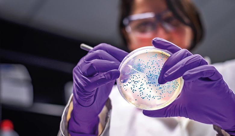 Researchers develop E. coli strain that ‘eats’ CO2