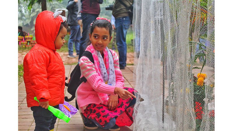 Butterfly fair at JU