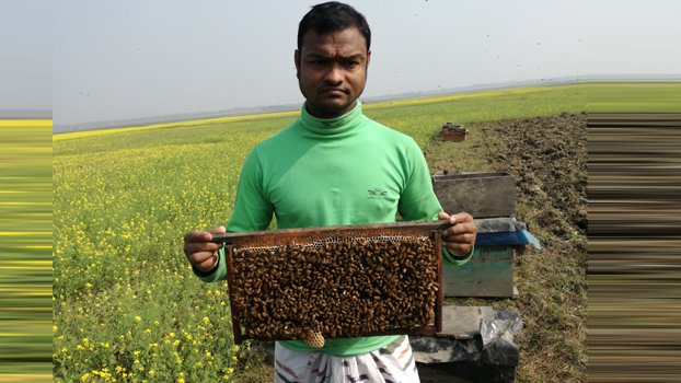 How to make beekeeping profitable investing How to make beekeeping profitable investing brian michael forex