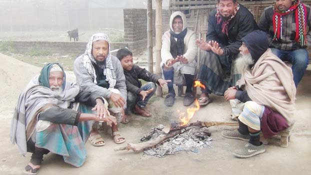Cold severity increases  in Thakurgaon