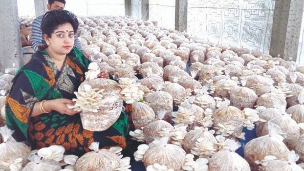 Jashore woman scripts success story with mushroom farming