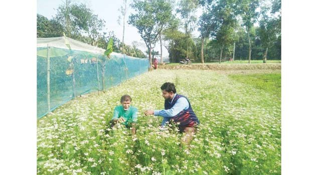 Bumper coriander production likely