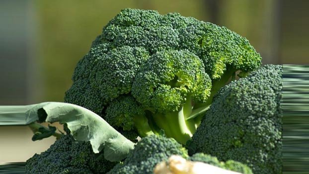 Broccoli farming gains  popularity in Rajshahi region
