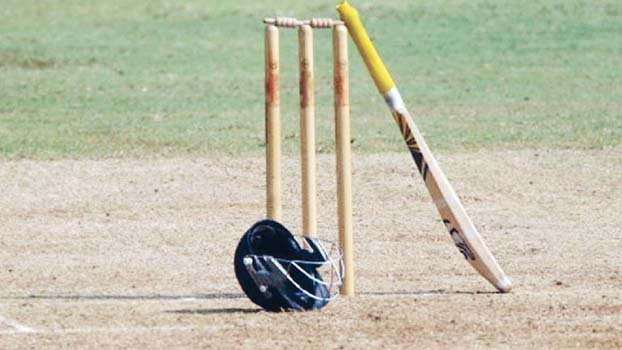 Whopping 48 sixes, 70 fours in second division cricket