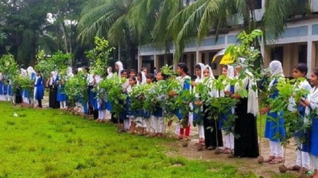 1.62 lakh saplings to be distributed in Chandpur marking Mujib Barsha