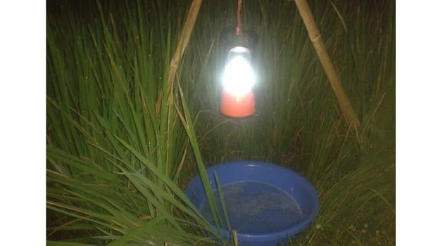 Use of pesticides decreases in Kishoreganj