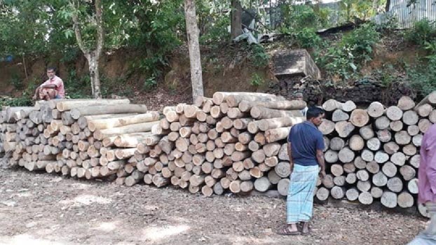 Drives continue against  illegal logging in Rangamati