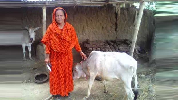 ‘Amar Bari Amar Khamar’ project benefits 9,340 villagers in Rajshahi