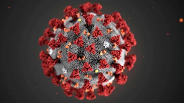 Returnee expats spurning home quarantine