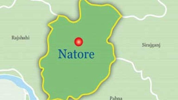 Face masks, leaflets distributed in Natore for preventing  coronavirus