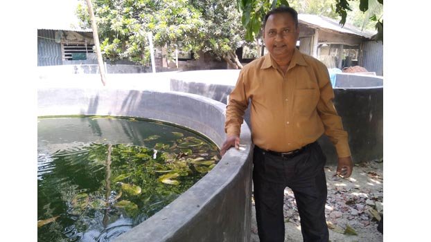 Bio-flock method ensures better fish production