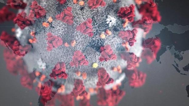 Govt gets more active in  anti-coronavirus fight