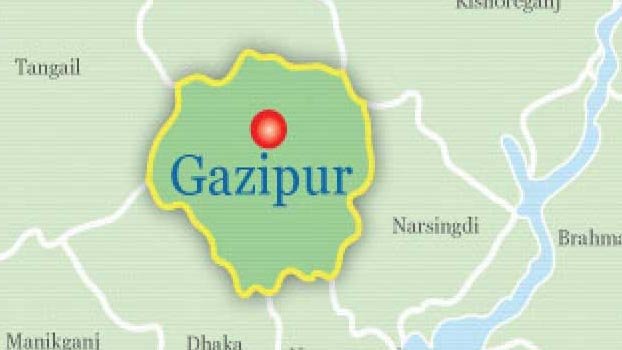 Three of a family found dead in Gazipur