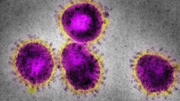 Corona-hit expats to get govt assistance: Minister