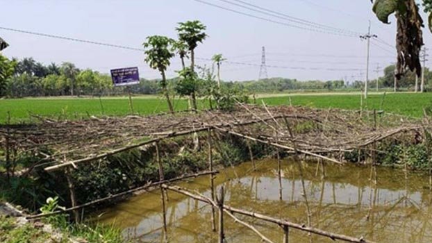 Alternative farming method  benefits Kaliganj farmers
