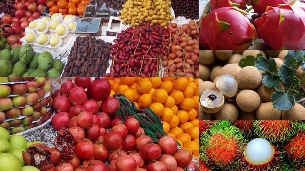 Fruit cultivation brings new hope in Jibannagar