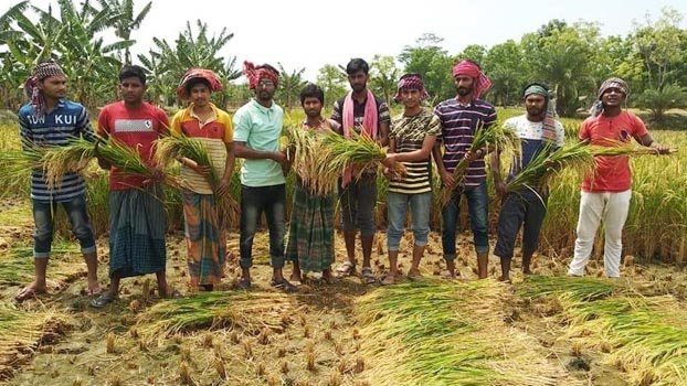 Ruling party men reap paddy for poor farmers